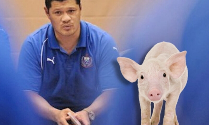 Managerul echipei naţionale de rugby, amendat cu 100 de porci